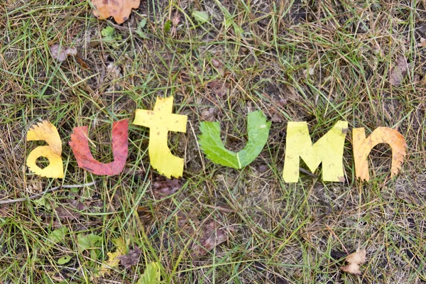 Word herfst uitgeknipt uit bladeren — Stockfoto