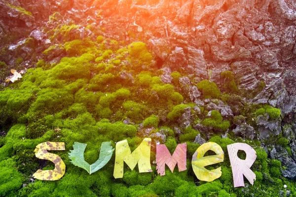 Ordet sommar klipp ut från lämnar — Stockfoto