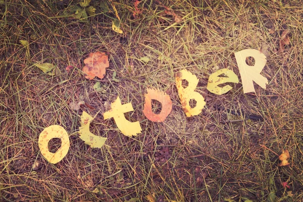 Ord október vágja ki a levelek — Stock Fotó