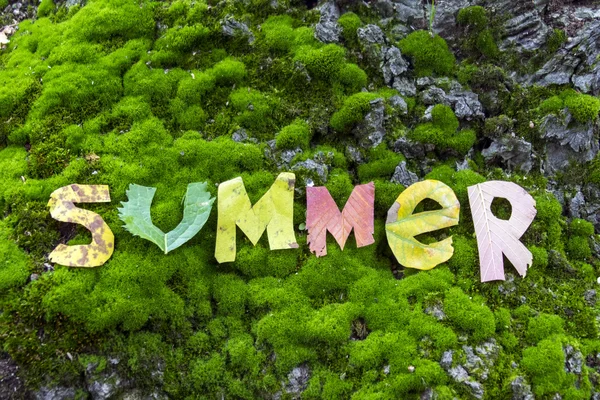 Ordet sommar klipp ut från lämnar — Stockfoto