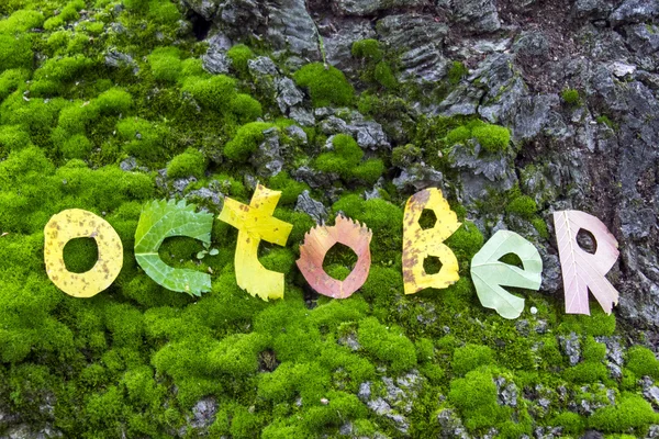 Wort Oktober aus Blättern geschnitten — Stockfoto