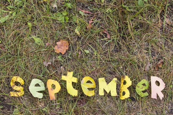 Woord van september uitgeknipt uit bladeren — Stockfoto