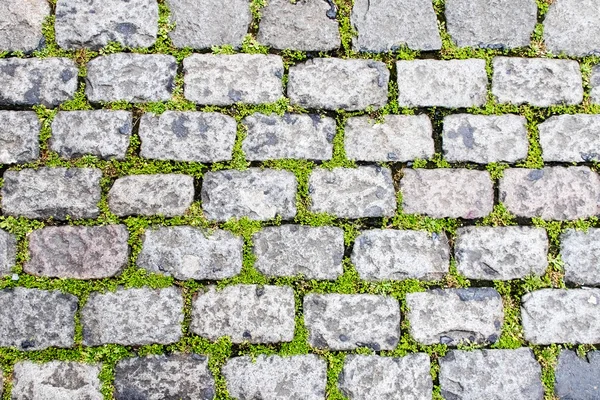 Paving stone texture — Stock Photo, Image