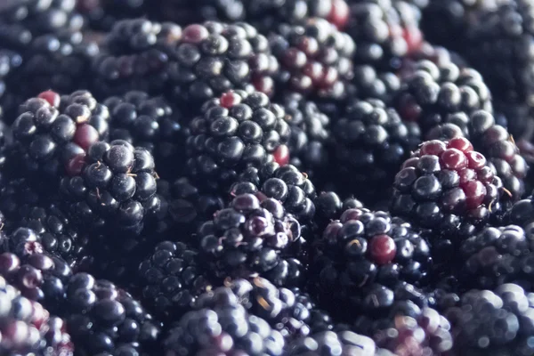 Fresh blackberries pile — Stock Photo, Image
