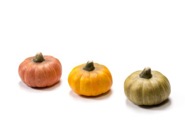 Üç küçük renkli kabaklar