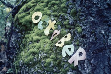 Yapraklarından kesip Ekim kelime