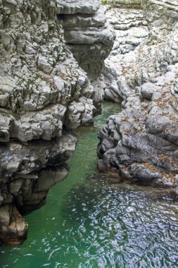 Dağ nehir pitoresk Kanyon