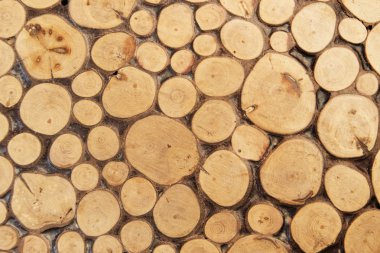 Ahşap günlükleri tur biter