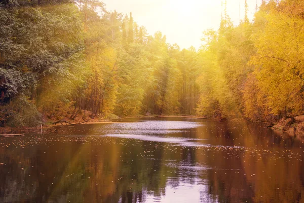 Malé malebné jezero — Stock fotografie