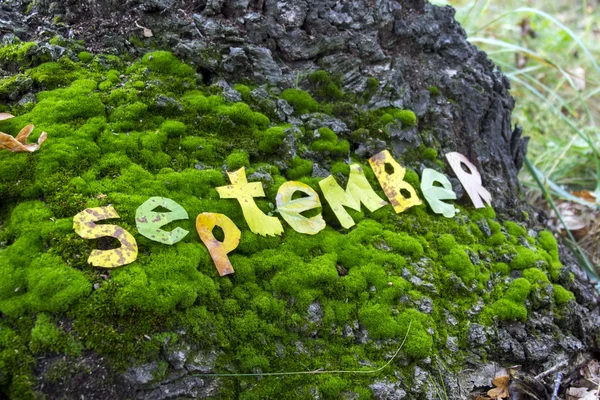Wort September aus Blättern geschnitten — Stockfoto