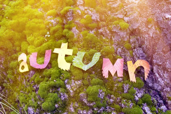 Autunno di parola tagliato fuori da foglie — Foto Stock