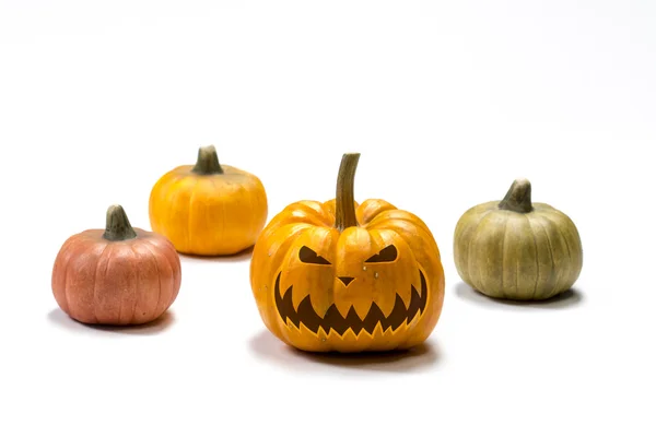 Různé barevné halloween dýně — Stock fotografie