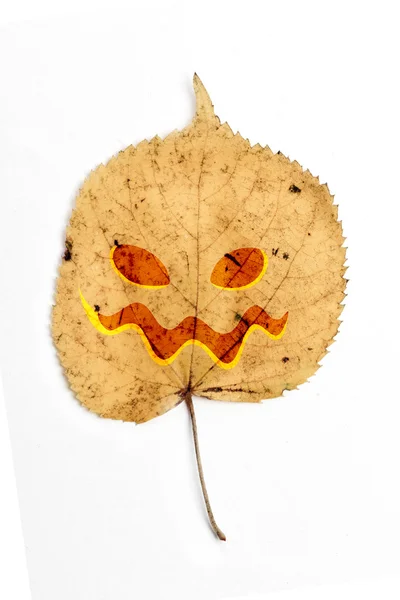 Droge blad met halloween gezicht — Stockfoto