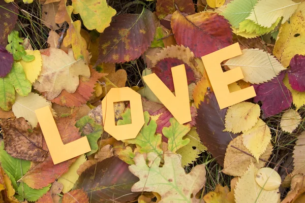 Inscription Love sur les feuilles d'automne — Photo