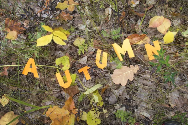 Word Autumn cut out from paper — Stock Photo, Image