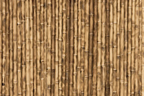 Старый бамбуковый забор — стоковое фото