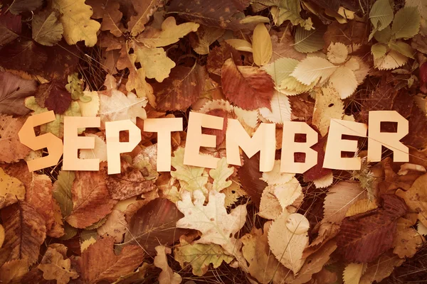 Cuvânt Septembrie tăiat din hârtie — Fotografie, imagine de stoc