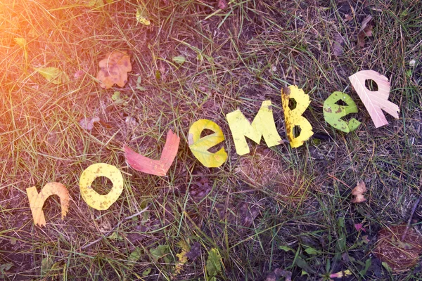 Word november uitgeknipt uit Herfstbladeren — Stockfoto