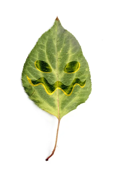 ハロウィーンの顔の付いた緑色の葉 — ストック写真