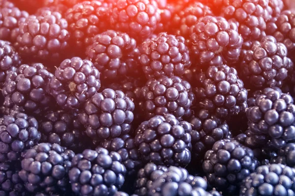 Fresh blackberries pile — Stock Photo, Image