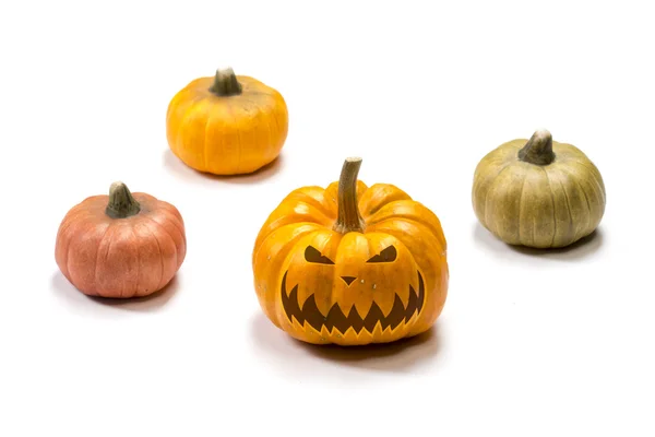 Színes különböző halloween sütőtök — Stock Fotó