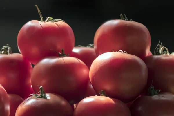 Rows of fresh tomatoes — Stock Photo, Image