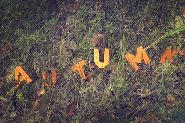 Palavra Outono cortado do papel — Fotografia de Stock