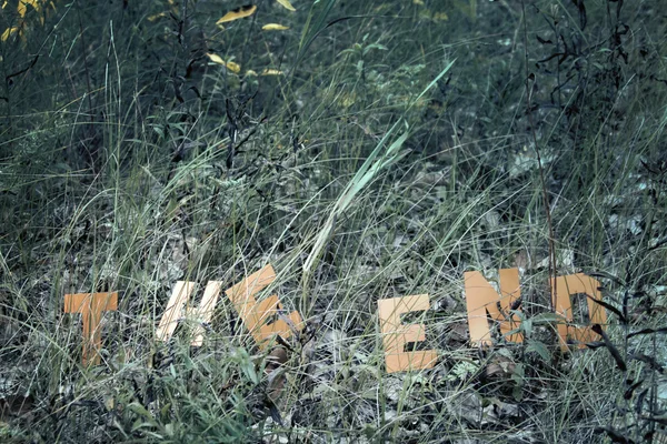 The end inscription on autumn grass — Stock Photo, Image