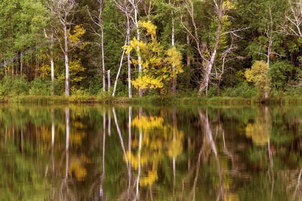 Pintoresco bosque de otoño — Foto de Stock