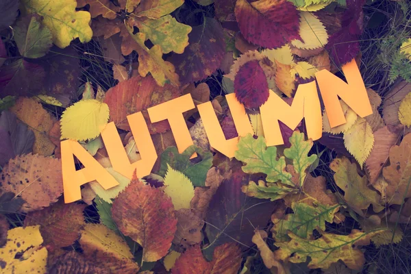 Slovo podzim Vystřihněte z papíru — Stock fotografie