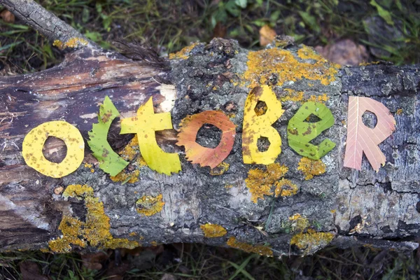 Palavra outubro cortado de folhas — Fotografia de Stock