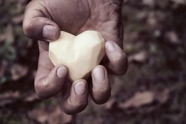 Patata a forma di cuore — Foto Stock