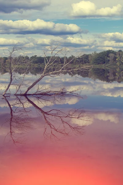 Nuvens refletidas no lago — Fotografia de Stock