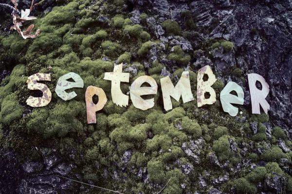 Ordet september skärs ut från lämnar — Stockfoto