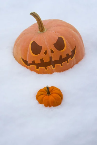 Halloweenpumpor i snön — Stockfoto