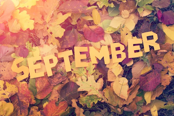 Beautiful september Stock Photos Royalty Free Beautiful september
