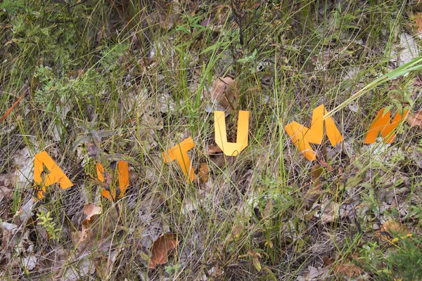 Word Autumn cut out from paper — Stock Photo, Image