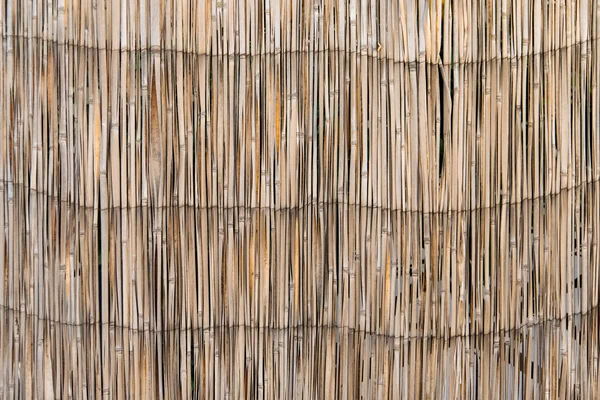 Old bamboo fence — Stock Photo, Image