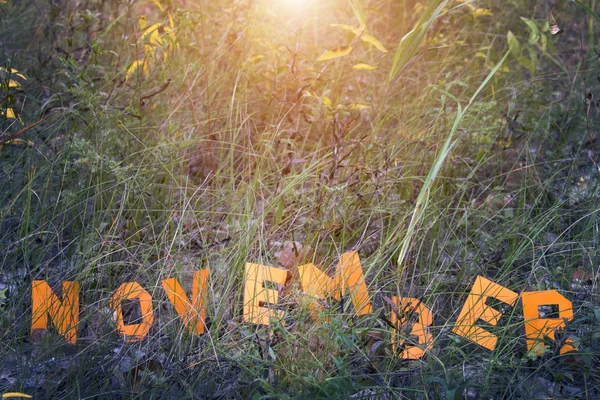 Wort November aus Papier ausgeschnitten — Stockfoto