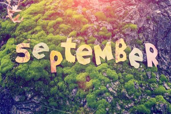 Słowo września wyciąć z liści — Zdjęcie stockowe