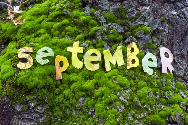 Word september cut out from leaves — Stock Photo, Image