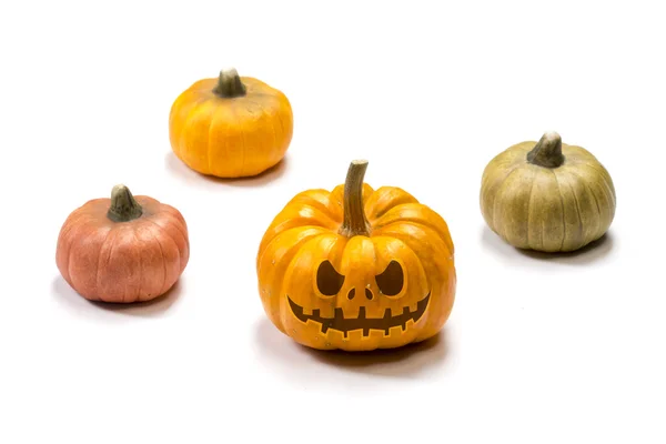 Různé barevné halloween dýně — Stock fotografie