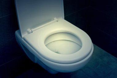 Beyaz tuvalet kase