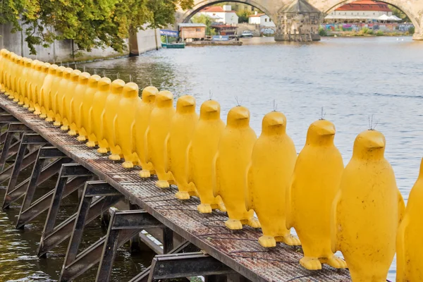 Birçok Hediyelik eşya sarı penguenler — Stok fotoğraf