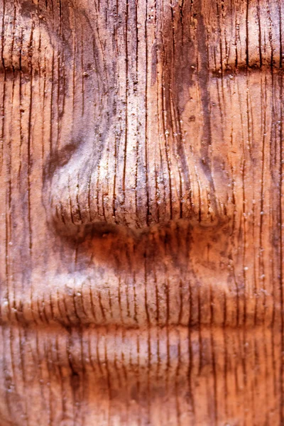 Cara de madera con ojos — Foto de Stock