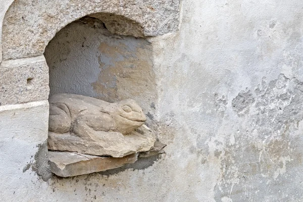 Stone frog i hål — Stockfoto