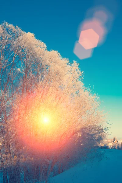 Inverno mattina gelida — Foto Stock