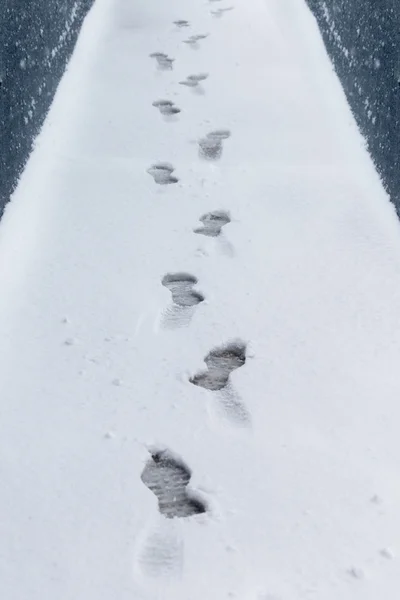 雪の上の足跡 — ストック写真