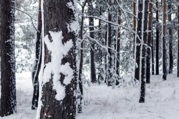 Macska silhouette készült hó — Stock Fotó