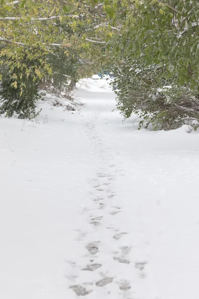 Fotspår på snöiga väg — Stockfoto